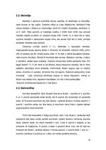 Referāts 'Gustavs Ernesakss', 16.