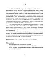 Referāts 'Sociālo tīklu ietekme uz veiksmīgu darba  atrašanu un karjeras izaugsmi', 5.