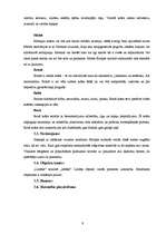 Referāts 'Reklāmas menedžments', 9.