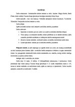 Referāts 'Intelektuālās slodzes ietekme uz redzi', 2.