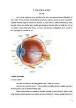 Referāts 'Intelektuālās slodzes ietekme uz redzi', 6.