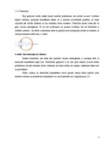 Referāts 'Intelektuālās slodzes ietekme uz redzi', 9.