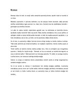 Konspekts 'Drošības kloķi', 6.