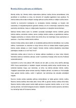 Konspekts 'Drošības kloķi', 7.