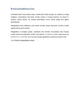 Konspekts 'Drošības kloķi', 8.