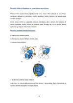 Konspekts 'Drošības kloķi', 9.