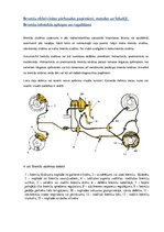 Konspekts 'Drošības kloķi', 10.