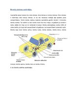 Konspekts 'Drošības kloķi', 14.