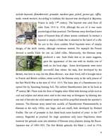 Referāts 'Weapons', 9.