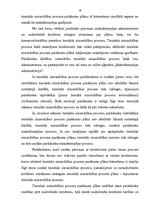 Diplomdarbs 'Juridiskās personas maksātnespējas process', 18.