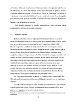 Referāts 'Valstu ekonomiskā attīstība un migrācija', 16.