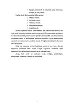 Referāts 'Konstitucionālās uzraudzības jēdziens, objekti un veidi', 5.