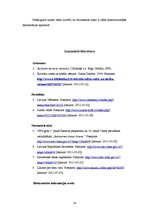 Referāts 'Konstitucionālās uzraudzības jēdziens, objekti un veidi', 24.