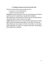 Referāts 'Datortīklu veidi. Datortīkla nepieciešamība', 13.