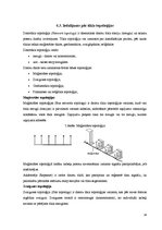Referāts 'Datortīklu veidi. Datortīkla nepieciešamība', 14.