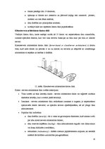 Referāts 'Datortīklu veidi. Datortīkla nepieciešamība', 19.