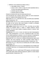 Referāts 'Datortīklu veidi. Datortīkla nepieciešamība', 20.