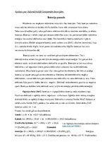 Eseja 'Apskats par ikdienā biežāk lietojamām baterijām', 1.