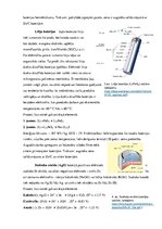 Eseja 'Apskats par ikdienā biežāk lietojamām baterijām', 3.