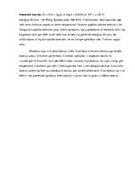 Eseja 'Apskats par ikdienā biežāk lietojamām baterijām', 4.