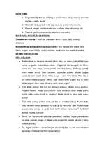 Prakses atskaite 'Prakses nedēļa "Kas mostas no saldā miega"', 6.