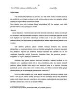 Diplomdarbs 'Ekonomikas un monetārā savienība. Eiro ieviešana Latvijā', 41.