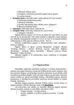 Referāts 'Demenes pagasta pašvaldības budžeta analīze', 19.