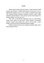 Referāts 'Inovācijas', 3.