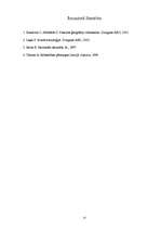 Referāts 'Migrācija un ar to saistītās rasu un etniskās attiecības', 13.