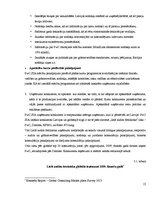 Prakses atskaite 'Uzņēmuma finanšu analīze', 13.