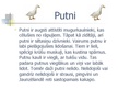 Prezentācija 'Putni', 2.