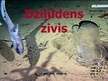Prezentācija 'Dziļūdens zivis', 1.