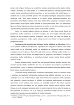 Diplomdarbs 'Pirmpirkuma un izpirkuma tiesību kopsakarība un to realizēšanas ceļi Latvijā', 46.