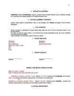 Paraugs 'Līgumi, līgumu paraugi', 27.