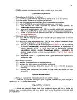 Paraugs 'Līgumi, līgumu paraugi', 34.