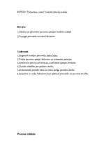 Konspekts 'Māsu darba standarti', 4.