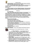 Konspekts 'Elektrība', 1.