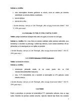 Referāts 'Dekoratīvās kosmētikas ietekme uz bērna ādu', 7.