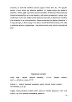 Referāts 'Dekoratīvās kosmētikas ietekme uz bērna ādu', 24.