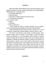 Referāts 'Saules bateriju pielietojums Latvijas apstākļos', 2.