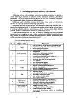 Referāts 'Mārketinga pētījumi un informācijas tehnoloģijas', 4.