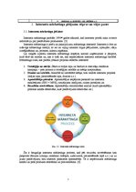 Referāts 'Mārketinga pētījumi un informācijas tehnoloģijas', 5.