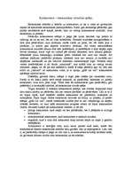 Eseja 'Konkurence', 1.