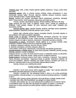 Konspekts 'L.Žukovs "Ievads pedagoģijā"', 4.