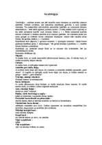 Konspekts 'Grafoloģija', 1.