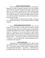 Referāts 'Dienesta 1188 reklamēšanas instrumentu analīze', 8.