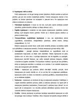 Referāts 'Iepakojums – uzņēmuma konkurētspējīgā priekšrocība', 5.