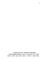 Referāts 'Iepakojums – uzņēmuma konkurētspējīgā priekšrocība', 13.