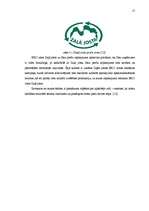 Referāts 'Iepakojums – uzņēmuma konkurētspējīgā priekšrocība', 17.