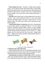 Referāts 'Iepakojums – uzņēmuma konkurētspējīgā priekšrocība', 22.